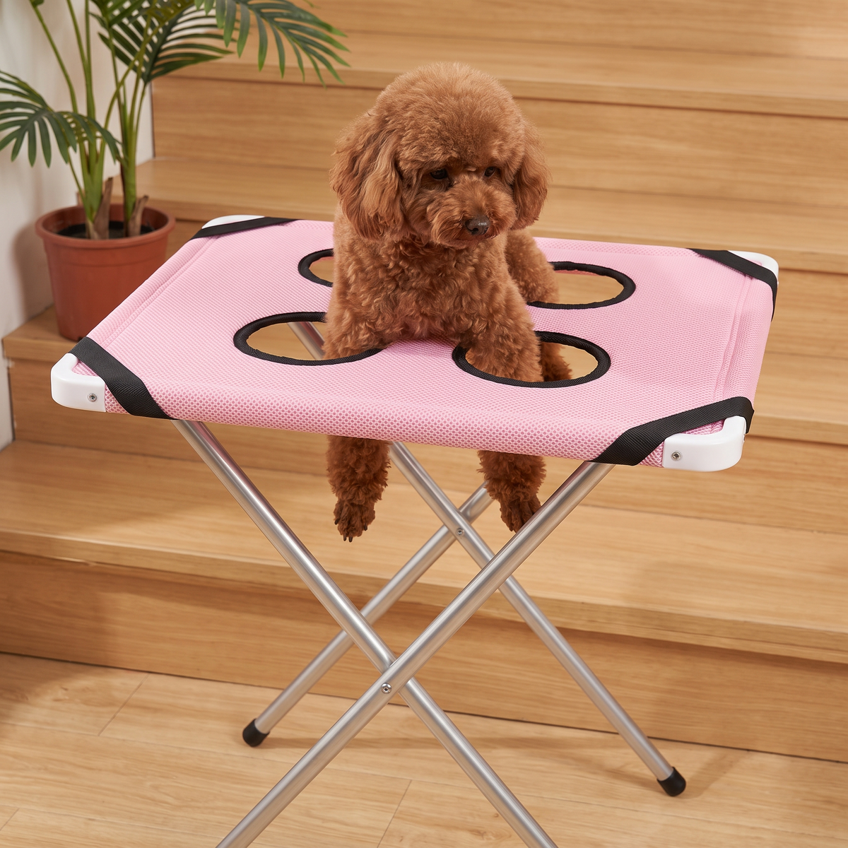 Hands-Free Grooming Hammock for Dogs & Cats